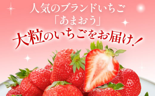 【12月より順次発送】あまおう グランデサイズ以上 約560g（約280g×2パック） 苺 イチゴ いちご フルーツ 果物 ふるさと納税くだもの ブランド くだもの 福岡県産