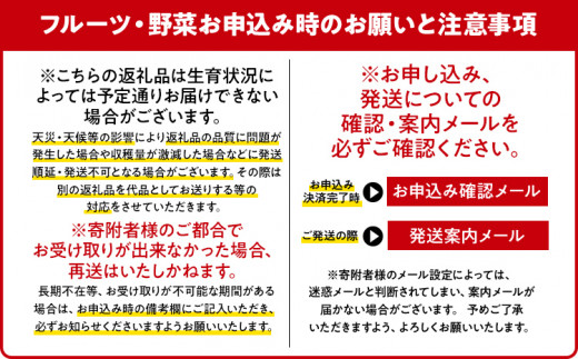 【12月より順次発送】あまおう グランデサイズ以上 約560g（約280g×2パック） 苺 イチゴ いちご フルーツ 果物 ふるさと納税くだもの ブランド くだもの 福岡県産