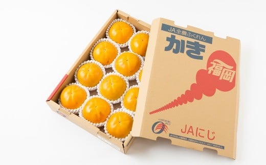 【先行予約】JAにじ 太秋柿12玉前後 (約4.5kg) 2025年10月中旬から10月下旬 出荷予定