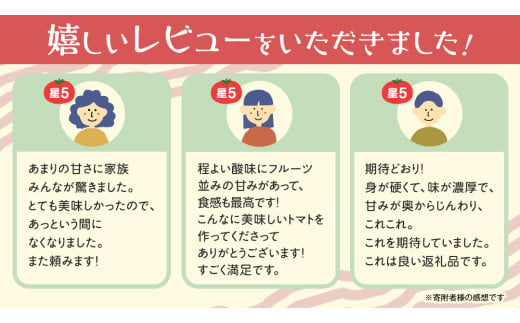 糖度9度以上 トマト 【 2025年収穫分 先行予約 】 スーパーフルーツトマト てるて姫 中箱  約1.2kg×3箱 【12〜15玉/1箱】 フルーツトマト ブランドトマト とまと てるて姫 野菜 人気 金賞 受賞 ギフト 贈答 茨城県 桜川市 【2025年2月上旬発送開始】[BC035sa]