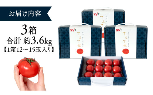 糖度9度以上 トマト 【 2025年収穫分 先行予約 】 スーパーフルーツトマト てるて姫 中箱  約1.2kg×3箱 【12〜15玉/1箱】 フルーツトマト ブランドトマト とまと てるて姫 野菜 人気 金賞 受賞 ギフト 贈答 茨城県 桜川市 【2025年2月上旬発送開始】[BC035sa]