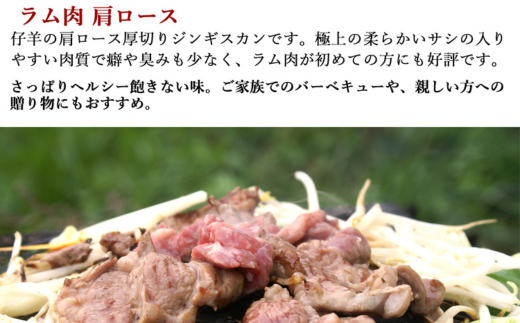 【3ヶ月定期便】味付けジンギスカンとラム肩ロース（各500g）セット 【 ふるさと納税 人気 おすすめ ランキング ジンギスカン 味付き 味付けジンギスカン ラムロース ラム肉 ラム肩ロース 定期便 北海道 室蘭市 送料無料 】 MROA067