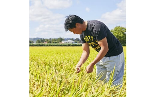 令和6年産　山形県産　つや姫・雪若丸　計10kg【1144536】