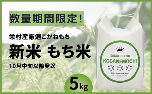 【数量期間限定】もち米 新米(令和5年産)　栄村産こがねもち　5kg 予約受付始めます！