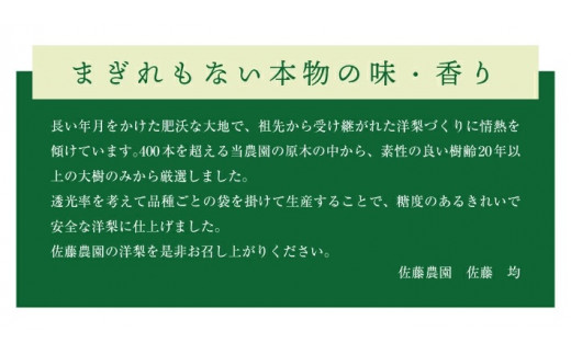 SA2352　六代多右エ門　西洋梨 特選 ラ・フランス《山形セレクション》　約3kg(8～9玉) 3L～4Lサイズ 化粧箱入