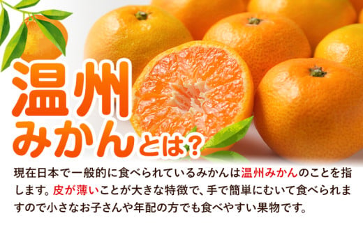 濃厚温州みかん 贈答用 約5kg 和歌山天田みかん 北村農園 《11月下旬-1月中旬頃出荷》和歌山県 日高町 送料無料 みかん 蜜柑 柑橘 果物