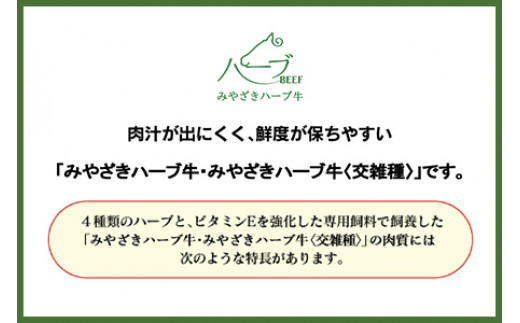 ＜みやざきハーブ牛 手ごねハンバーグ「生」（140g×10個）＞入金確認後、翌月末迄に順次出荷