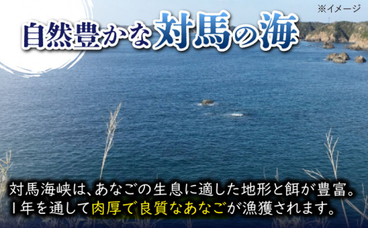 【全12回定期便】対馬 煮あなご膳 セット《対馬市》【対馬地域商社】九州 長崎 アナゴ [WAC038]あなご 穴子重 穴子 海鮮 海産物 魚介 人気 ランキング 冷凍 対馬 長崎 九州 贈答 魚 煮穴子 肉厚 煮穴子重 定期便 毎月届く