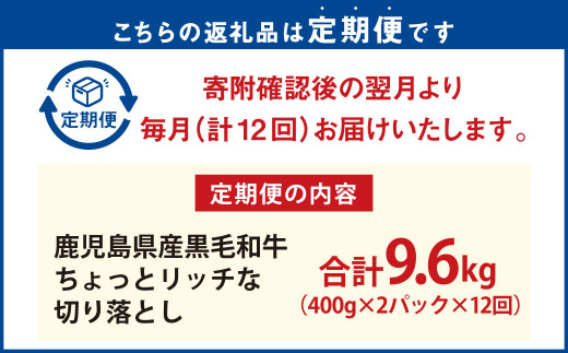 鹿児島県産 黒毛和牛 ちょっとリッチな 切り落とし 800g ×12回 計約9.6kg