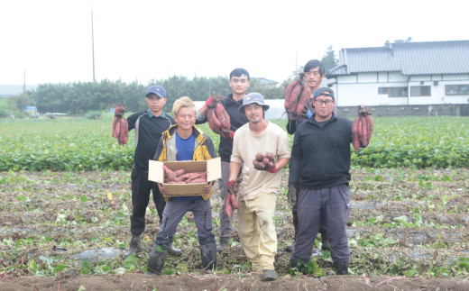 【先行予約 11月中旬以降発送】【訳あり】さつまいも 3kg｜いも スイーツ 野菜 ダイエット 小分け 国産 茨城県産 さつまいも サツマイモ お芋 おやつ 干し芋 焼き芋 紅はるか シルクスイート ねっとり 甘い 完熟 熟成 高評価 多数 蜜いも 秋の味覚 品種お任せ 訳あり 家庭用 サイズ不均一 小さめ キズ スレ 期間限定 高糖度 芋 焼き芋 ふぞろい 訳アリ 大容量 茨城県 常陸太田市