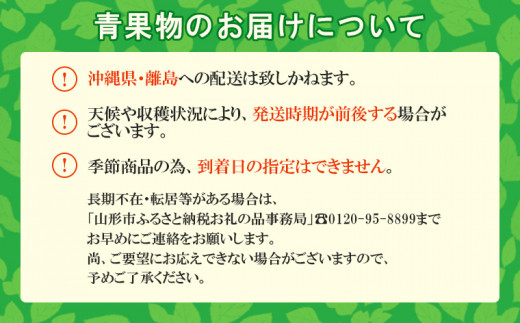 山形の口どけラ・フランス 秀品 約3kg FY24-011