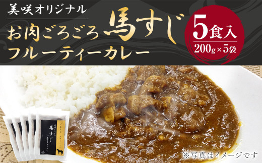 くまもと 美咲オリジナル お肉ごろごろ 馬すじ フルーティー カレー (200g×5袋) 計1000g