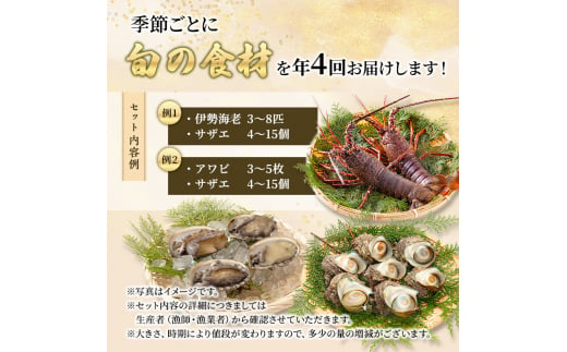 伊勢海老 アワビ サザエ 定期便 年4回 海からのお届け物 伊勢エビ 3～8匹 さざえ 4～15個 あわび 3～5枚 伊勢えび 海老 エビ えび 鮑 貝 魚介 魚介類 海鮮 海鮮セット セット 詰め合わせ 冷蔵 刺身 焼き物 静岡 静岡県 4回 お楽しみ [№5227-0075]