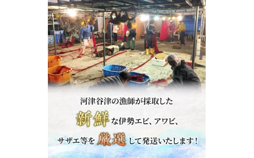 伊勢海老 アワビ サザエ 定期便 年4回 海からのお届け物 伊勢エビ 3～8匹 さざえ 4～15個 あわび 3～5枚 伊勢えび 海老 エビ えび 鮑 貝 魚介 魚介類 海鮮 海鮮セット セット 詰め合わせ 冷蔵 刺身 焼き物 静岡 静岡県 4回 お楽しみ [№5227-0075]