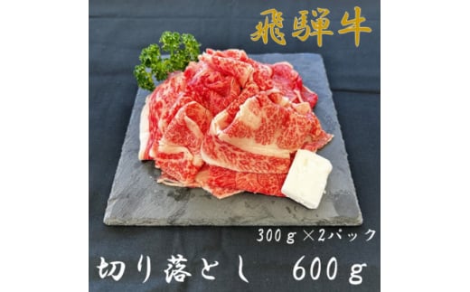 飛騨牛切り落とし300g×2パック【1507965】