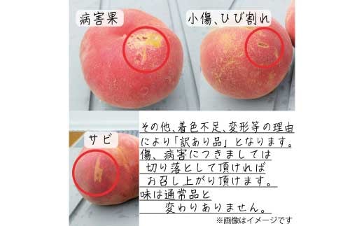 [No.5657-3282]【先行予約】2024年産 桃【だて白桃】【訳あり品】約3kg（約7～12玉）《遠山農園》■2024年発送■※9月上旬頃～9月下旬頃まで順次発送予定