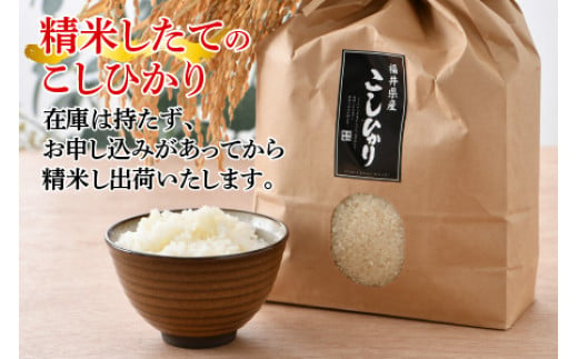 【令和6年産 新米】福井県産こしひかり　3kg（紙袋入り）