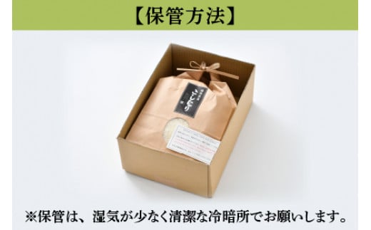 【令和6年産 新米】福井県産こしひかり　3kg（紙袋入り）