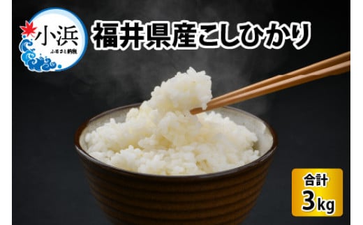 【令和6年産 新米】福井県産こしひかり　3kg（紙袋入り）