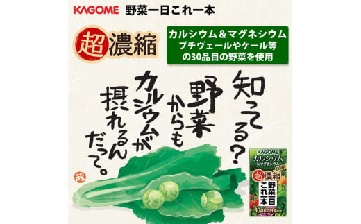 カゴメ 野菜一日これ一本 超濃縮 カルシウム＆マグネシウム 125ml 紙パック 24本入 （野菜ジュース）