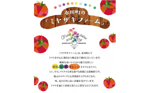 「ミヤザキファーム」 宝石とまとⓇ 熊本県氷川町産《12月上旬-6月末頃出荷予定》 小鈴 アイコ イエローアイコ オレンジ千果 みどりちゃん セレブスイート グリーンゼブラ 桃太郎ゴールド トスカーナバイオレット マイクロトマト