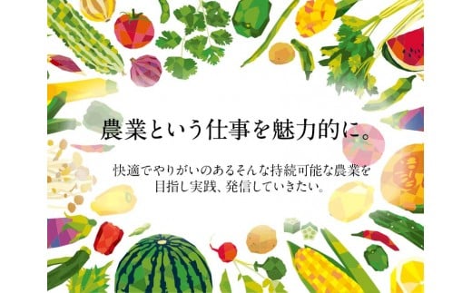 「ミヤザキファーム」 宝石とまとⓇ 熊本県氷川町産《12月上旬-6月末頃出荷予定》 小鈴 アイコ イエローアイコ オレンジ千果 みどりちゃん セレブスイート グリーンゼブラ 桃太郎ゴールド トスカーナバイオレット マイクロトマト