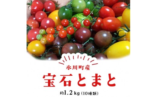 「ミヤザキファーム」 宝石とまとⓇ 熊本県氷川町産《12月上旬-6月末頃出荷予定》 小鈴 アイコ イエローアイコ オレンジ千果 みどりちゃん セレブスイート グリーンゼブラ 桃太郎ゴールド トスカーナバイオレット マイクロトマト