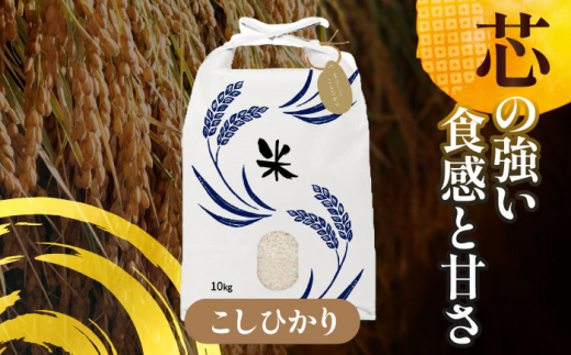 【10月発送】愛知県産 コシヒカリ・あいちのかおり 白米 各10kg 特別栽培米 お米 ご飯 愛西市／戸典オペレーター  [AECT011-10]