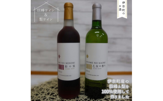 【伊奈町産巨峰＆梨使用】巨峰ワイン・梨ワイン飲み比べセット 国産ワイン 日本のワイン ［先行予約受付中］