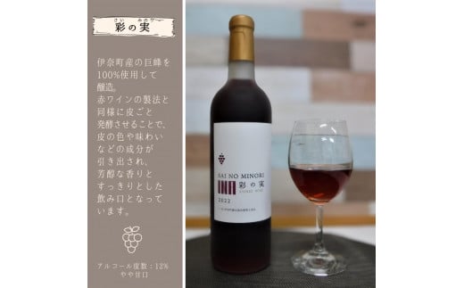 【伊奈町産巨峰＆梨使用】巨峰ワイン・梨ワイン飲み比べセット 国産ワイン 日本のワイン ［先行予約受付中］