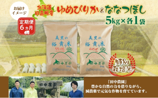 6ヵ月定期便 田中農園 令和6年産 ゆめぴりか＆ななつぼし 各5kg 食べ比べ セット  米 こめ コメ 白米 白飯 ご飯 ごはん ふっくら つややか 豊かな甘み ほどよい粘り 特別栽培 日高町