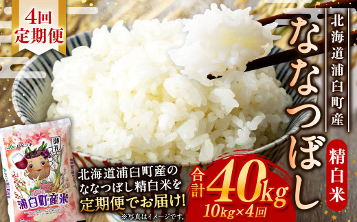 【4回定期便】浦臼産ななつぼし精白米10kg（5kg×2袋）