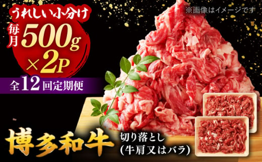 12回定期便 和牛 切り落とし 1kg (500g×2P) 国産