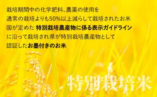 【先行予約】【12ヶ月定期便】地球にやさしいパックご飯 10食入り【白米】× 12回　計120食　減農薬・減化学肥料 「特別栽培米」