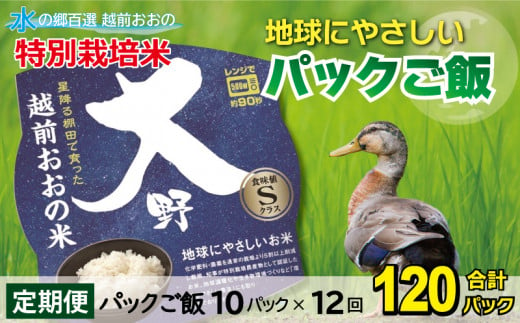 【先行予約】【12ヶ月定期便】地球にやさしいパックご飯 10食入り【白米】× 12回　計120食　減農薬・減化学肥料 「特別栽培米」