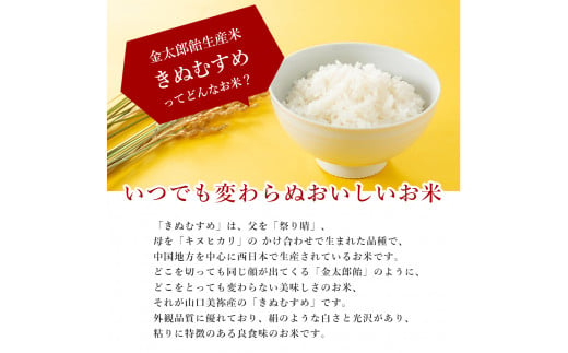 金太郎飴 生産米 きぬむすめ  山口美祢産 ｜ 米 白米 粘り きぬむすめ キヌヒカリ 山口 美祢市 美祢 特産品 10kg