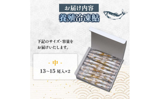 FKK19-827 養殖冷凍鮎 (中:13～15尾入×2) 2kg