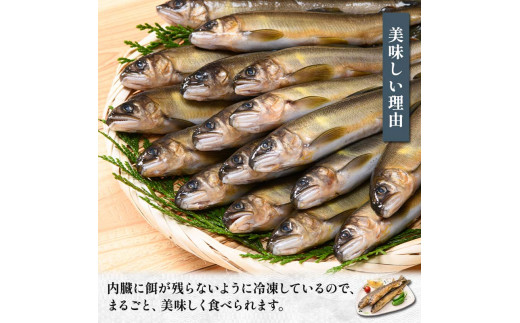 FKK19-827 養殖冷凍鮎 (中:13～15尾入×2) 2kg