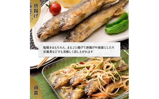 FKK19-827 養殖冷凍鮎 (中:13～15尾入×2) 2kg