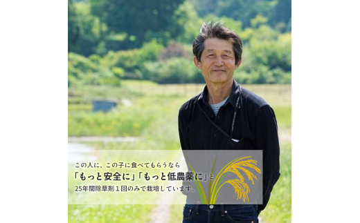 【定期便12回】有機栽培コシヒカリ白米 25kg 京都府産 低農薬 毎月お届け 12ヶ月【 米 25キロ 精米 白米 こめ コメ お米 おこめ こしひかり 井上吉夫 米農家 有機栽培米 有機栽培 農家直送 減農薬 綾部市 京都府 】