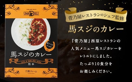 馬スジのカレー 10食 210g×10 計2.1kg 馬肉 カレー