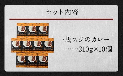 馬スジのカレー 10食 210g×10 計2.1kg 馬肉 カレー