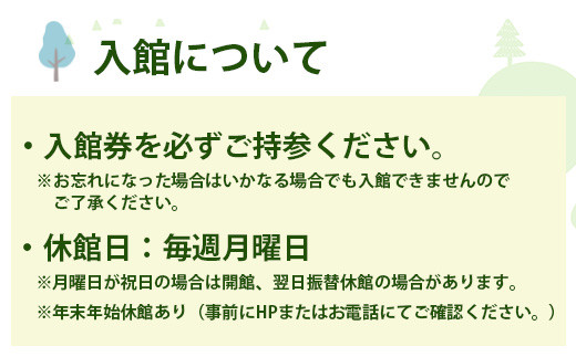 【入館券】那賀町山のおもちゃ美術館【大人1名（高校生以上）】 おもちゃ美術館 おもちゃ 美術館 チケット 入場券 知育 木育 遊べる美術館 体験 体験型 こども 子供 子ども 親子 遊び場 木 柚子 茶葉 那賀町 林業 森林 自然 魅力 温もり CA-4