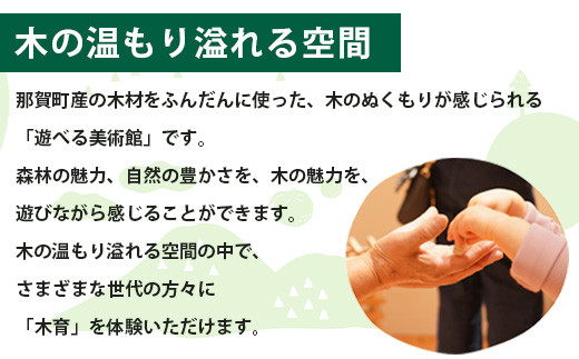 【入館券】那賀町山のおもちゃ美術館【大人1名（高校生以上）】 おもちゃ美術館 おもちゃ 美術館 チケット 入場券 知育 木育 遊べる美術館 体験 体験型 こども 子供 子ども 親子 遊び場 木 柚子 茶葉 那賀町 林業 森林 自然 魅力 温もり CA-4