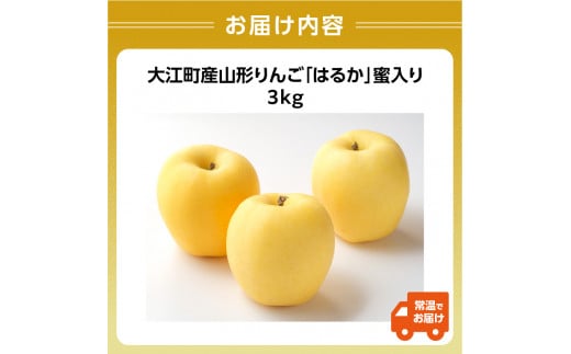 《先行予約》大江町産 山形りんご 「はるか」 3kg 2L～3L 10～11玉【2024年12月上旬頃～発送予定】【配送不可：沖縄県・離島】【048-003】