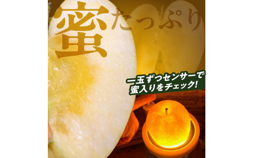 《先行予約》大江町産 山形りんご 「はるか」 3kg 2L～3L 10～11玉【2024年12月上旬頃～発送予定】【配送不可：沖縄県・離島】【048-003】