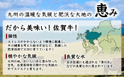 【4月配送】佐賀牛 ローストビーフブロック 400g ソース付 赤身 ローストビーフ 佐賀県産 D-187