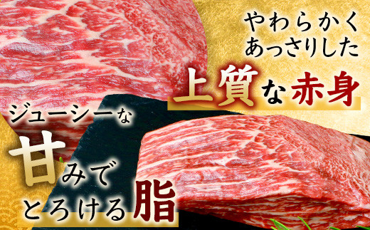 【4月配送】佐賀牛 ローストビーフブロック 400g ソース付 赤身 ローストビーフ 佐賀県産 D-187