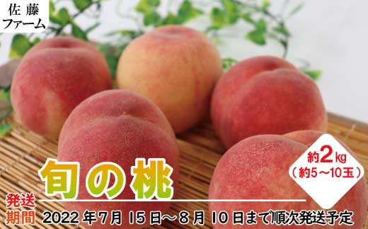 [No.5657-2823]旬の桃　約2kg（約5玉～約10玉）《佐藤ファーム》■2022年発送■※7月中旬頃～8月上旬頃まで順次発送予定