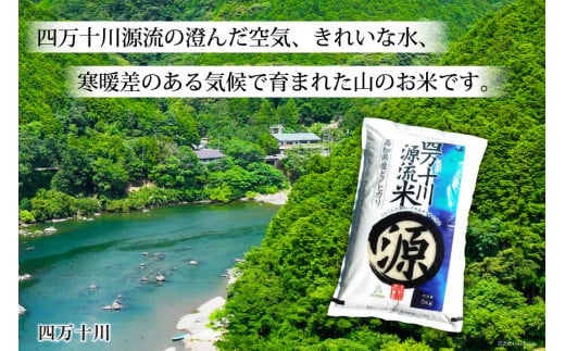 全12回 定期便 米 四万十川源流米・精米 5kg×12回 計60kg [JA高知県高西営農経済センター津野山経済課 高知県 津野町 26ah0009] お米 こめ おこめ 定期 毎月